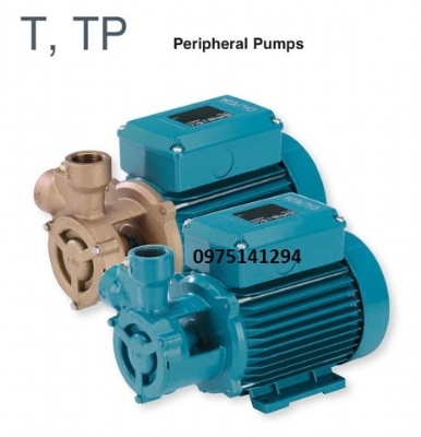 Máy bơm ngoại vi kiểu cánh Turbine Calpeda T 70/B